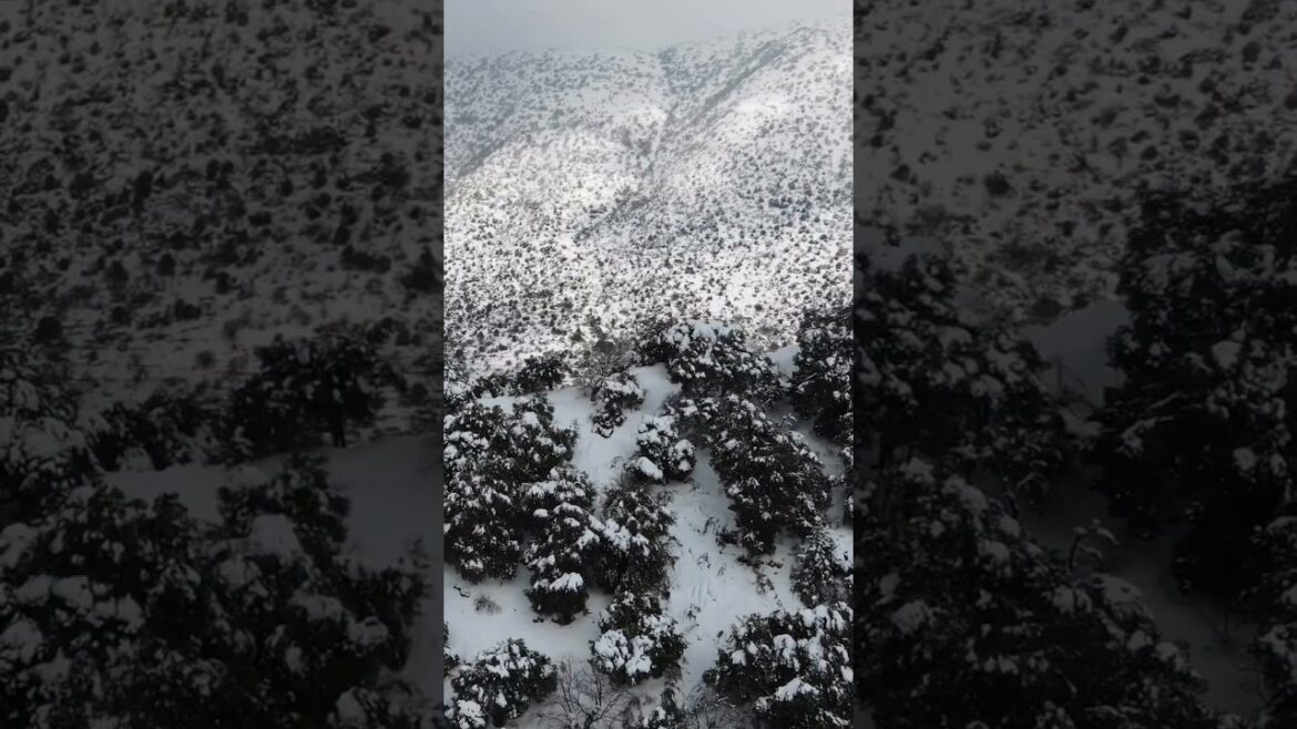 Lebanon besieged by snow, storms hit Lebanon February لبنان محاصر بالثلج عواصف ثلجية تضرب لبنان شباط