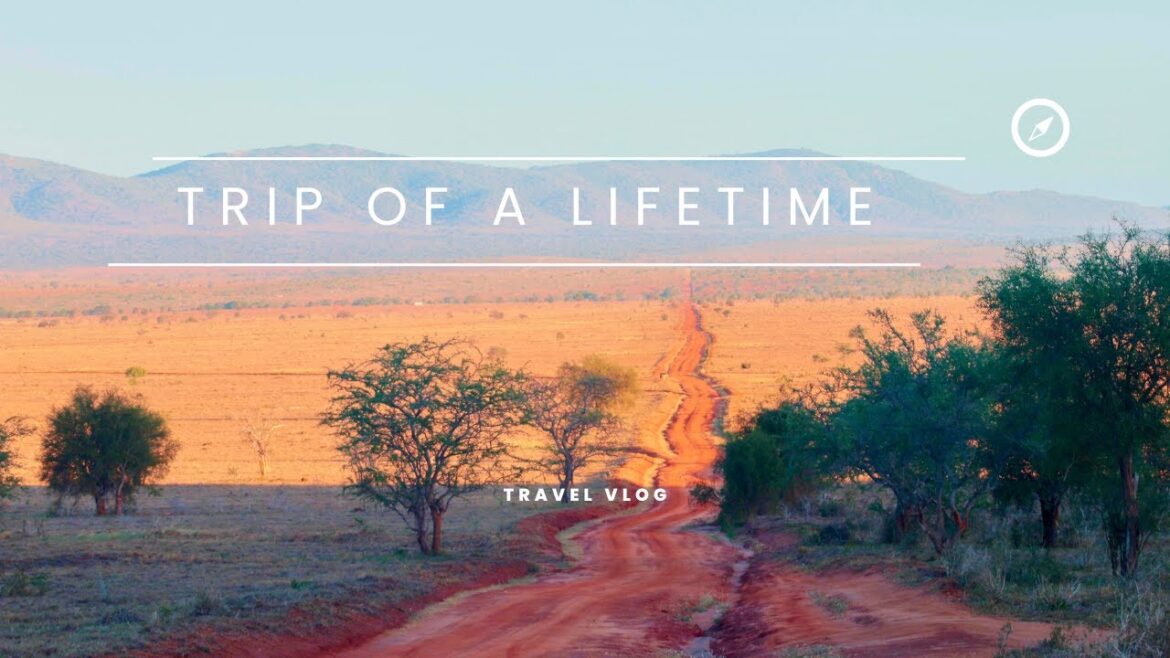 TRIP OF LIFETIME LUMO 4K TRIP OF LIFETIME LUMO 4K