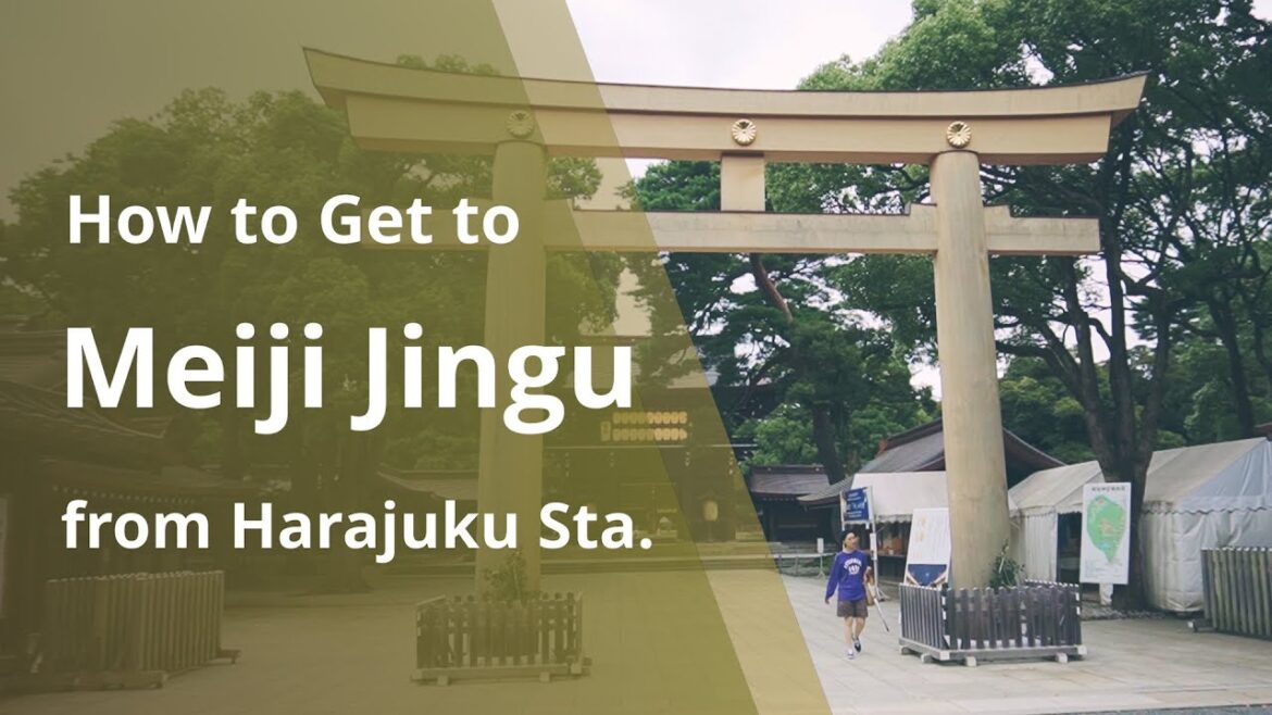How to get to Meiji Jingu from Harajuku Station (Tokyo Travel Guide)