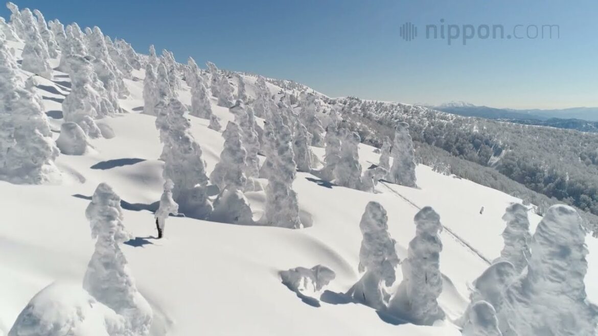 Monsters in the North: Frosted “Juhyō” Trees on Akita’s Mount Moriyoshi | Nippon.com: Japan in Video