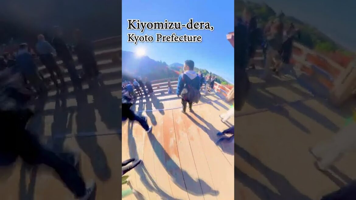 【Insta360 X3】skillism VR/360 - Chùa Kiyomizu Dera, KYOTO