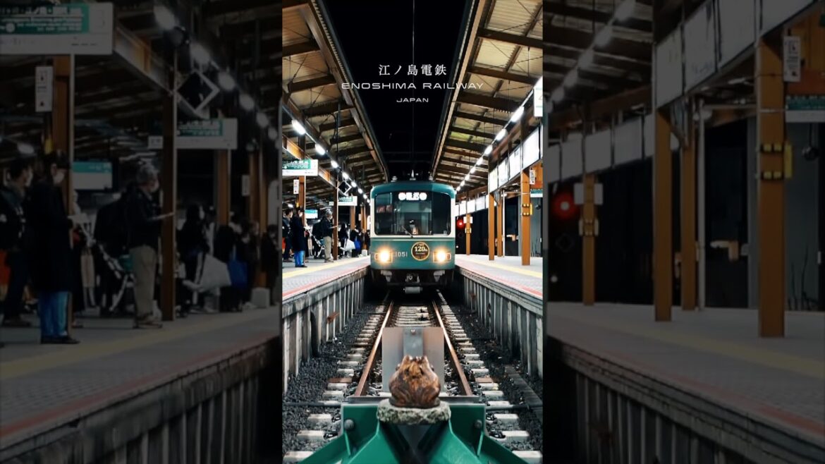 Gotta love this train🚃　#shorts #japan #travel #train #kamakura #江ノ電 #江ノ島 #鎌倉