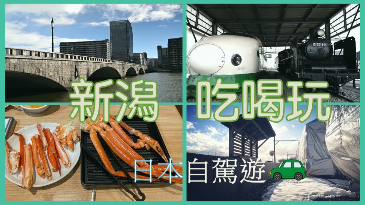新潟縣怎麼玩?! 好山好水好熱情的新潟自駕遊~新津鐵道博物館&月潟駅|吃遍新潟!螃蟹吃到飽+敘敘苑燒肉+萬代島市場|日本快速配眼鏡經驗談 【2022日本自駕行ep02】 新潟縣怎麼玩?! 好山好水好熱情的新潟自駕遊~新津鐵道博物館&月潟駅|吃遍新潟!螃蟹吃到飽+敘敘苑燒肉+萬代島市場|日本快速配眼鏡經驗談 【2022日本自駕行ep02】