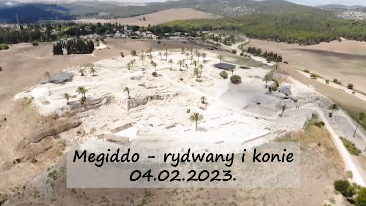 Megiddo - rydwany i konie