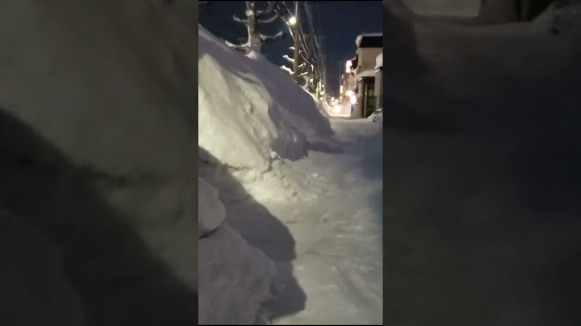 Night walk in the Snow #Aomori #Japan #青森 #雪