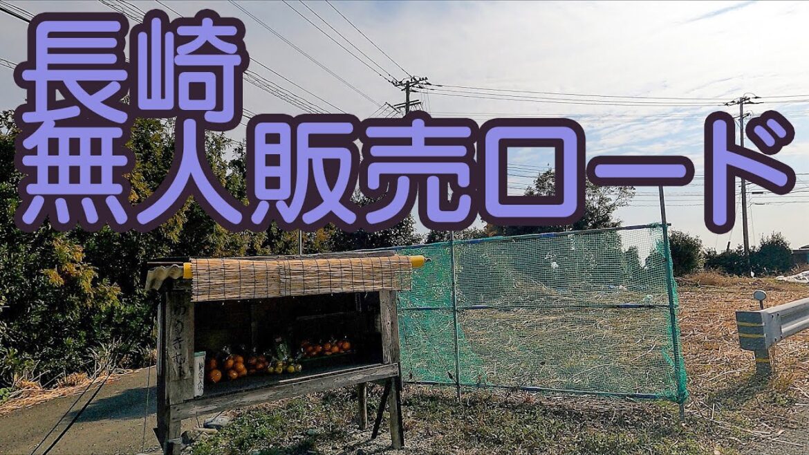 長崎市為石～茂木 → 無人販売ロードを一緒にドライブしませんか？