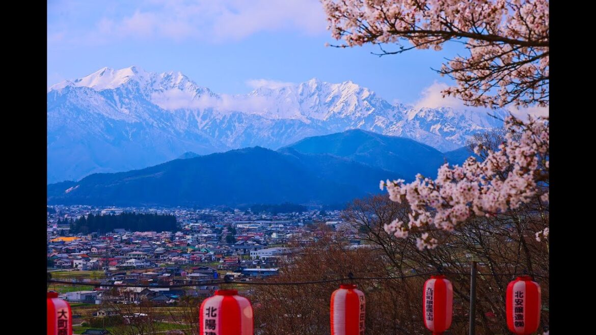 8K HDR 長野 大町公園の桜と北アルプス Nagano, Sakura at Omachi Park and Mountains