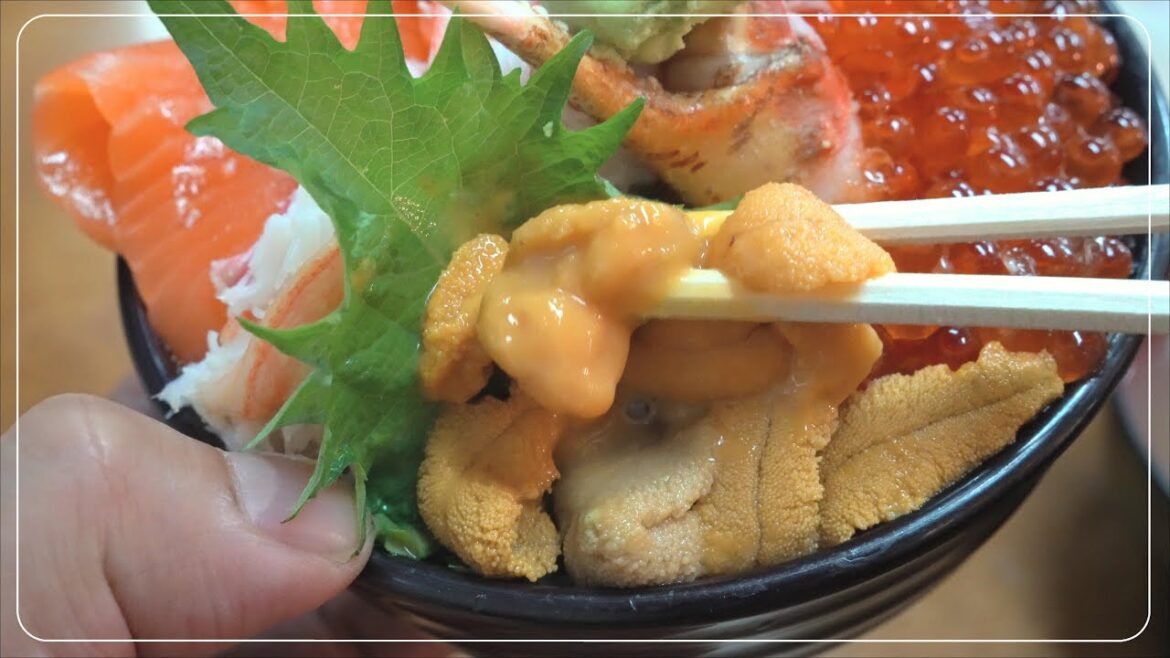 【極寒】気温マイナス13℃!小樽に絶品の海鮮丼を食べに行くう! japanese street food seafood bowl 【極寒】気温マイナス13℃!小樽に絶品の海鮮丼を食べに行くう! japanese street food seafood bowl
