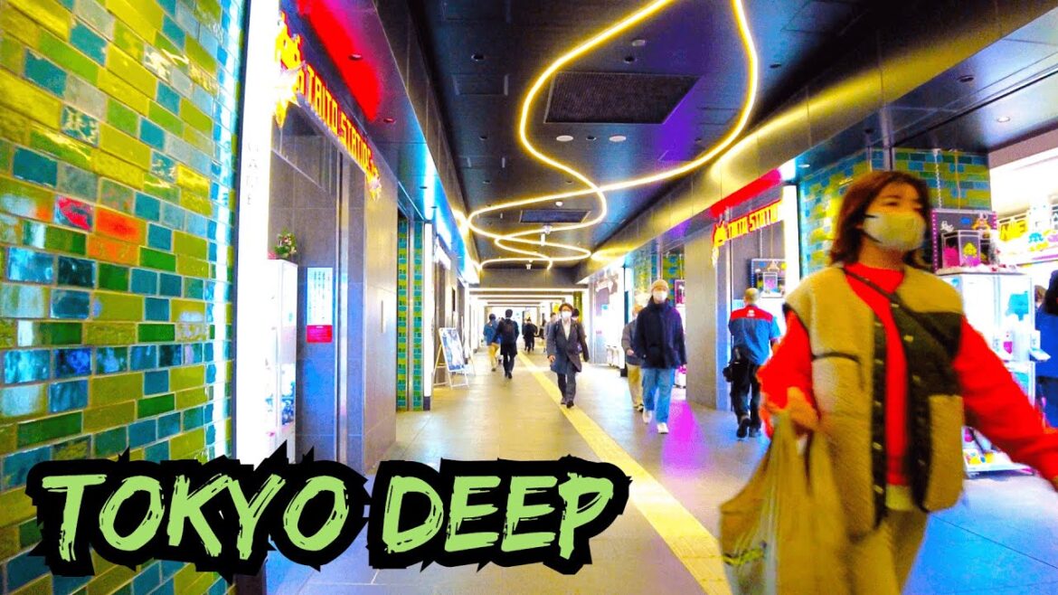 【4K】Tokyo Walk, Akihabara Secret Backstreets to Chaotic Ueno  / 秋葉原から高架下ギャラリーを通り上野まで歩き倒す【Japan】