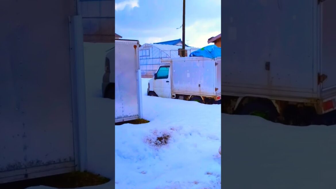 Abandoned Japanese Trucks in the Snow #japan #walking #niigata