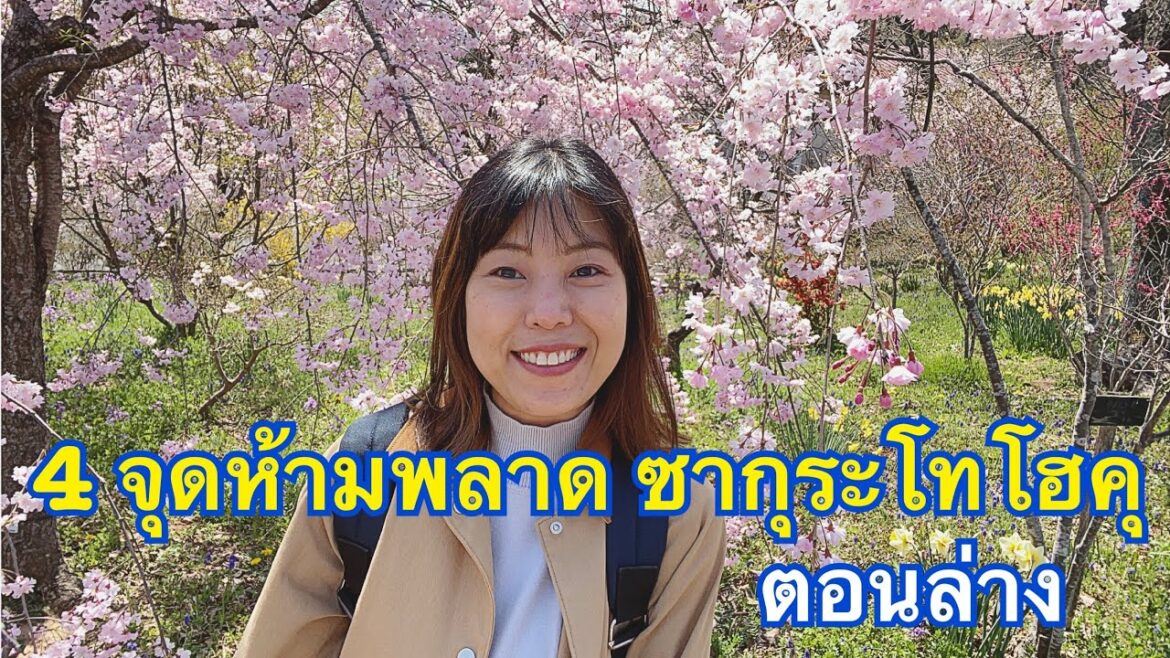 ชี้ 4 จุดห้ามพลาด !!! มาดูซากุระญี่ปุ่นแถบโทโฮคุ มาช่วงสงกรานต์รับรองได้เห็นเต็มๆ
