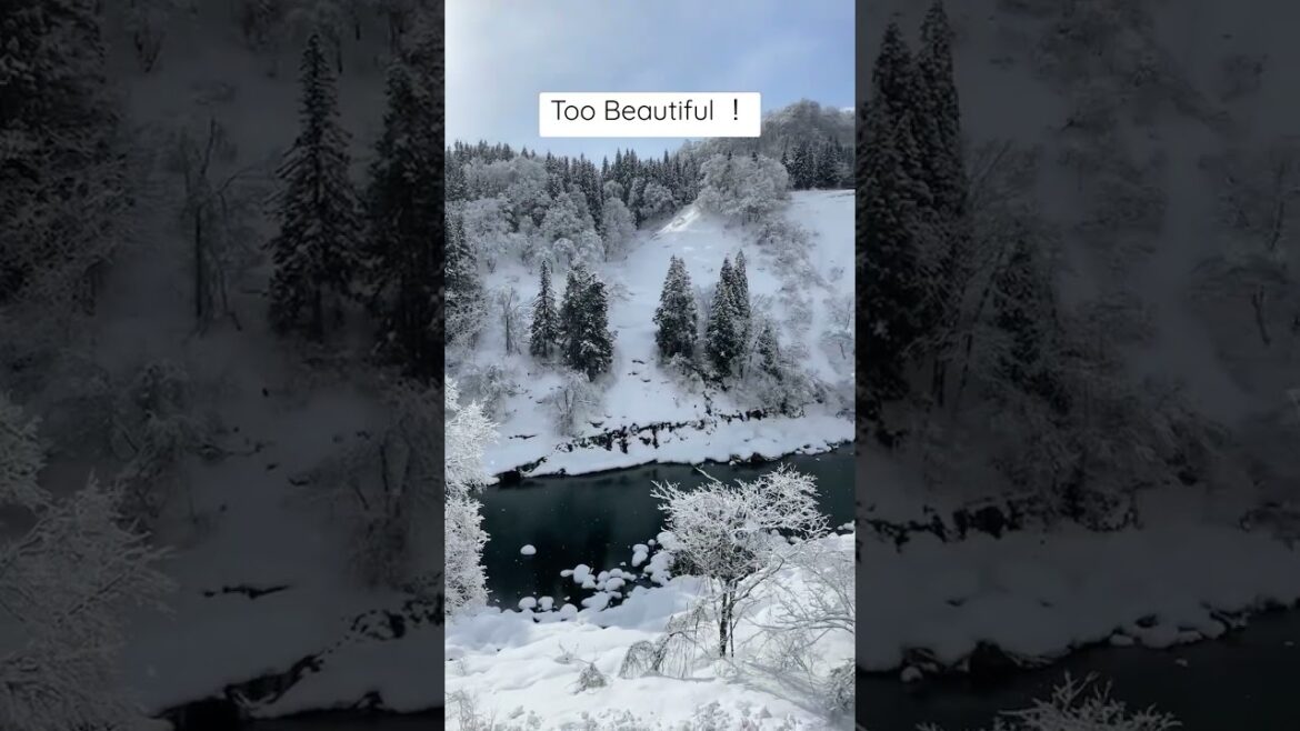 Beautiful snow scene at Sakae Mura, Nagano