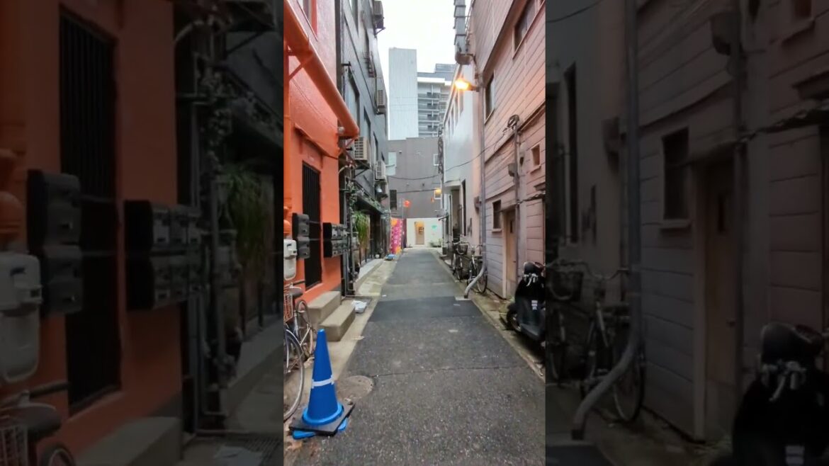 【苦楽園人気カフェ】TAOCA COFFEE 神戸元町に来る！【3月】#神戸カフェ