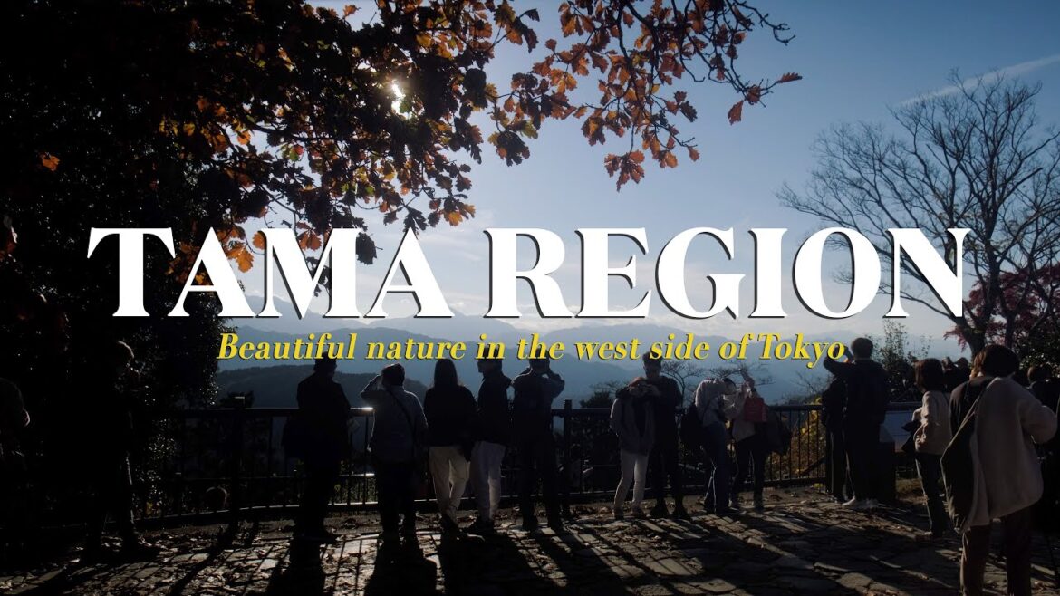 Tama Region | Beautiful nature in the west side of Tokyo Tama Region | Beautiful nature in the west side of Tokyo
