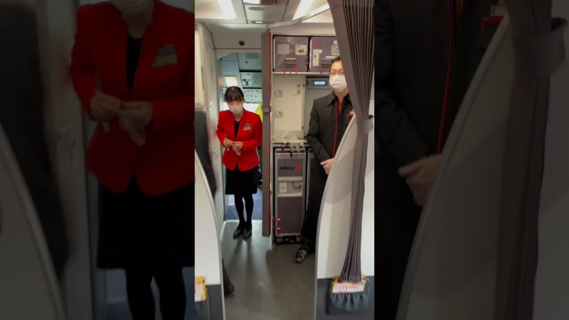 WTF! Japan! #japan #fukuoka #travel