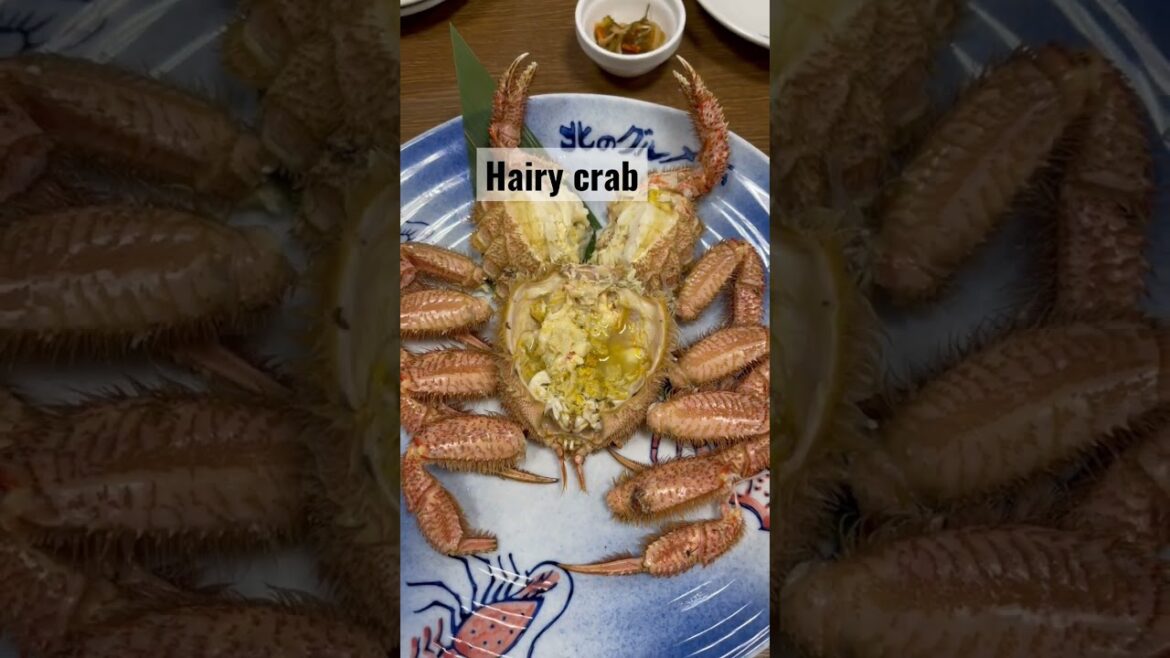 Lunch in Sapporo (fish market) $165 #food #japanfood #travel #shorts