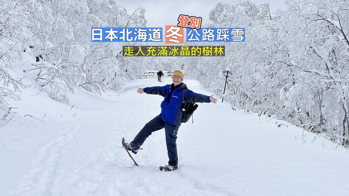日本北海道冬 在厚雪所覆蓋的公路上行走,樹林中的冰晶世界難以言喻的夢幻場景 日本北海道冬 在厚雪所覆蓋的公路上行走,樹林中的冰晶世界難以言喻的夢幻場景