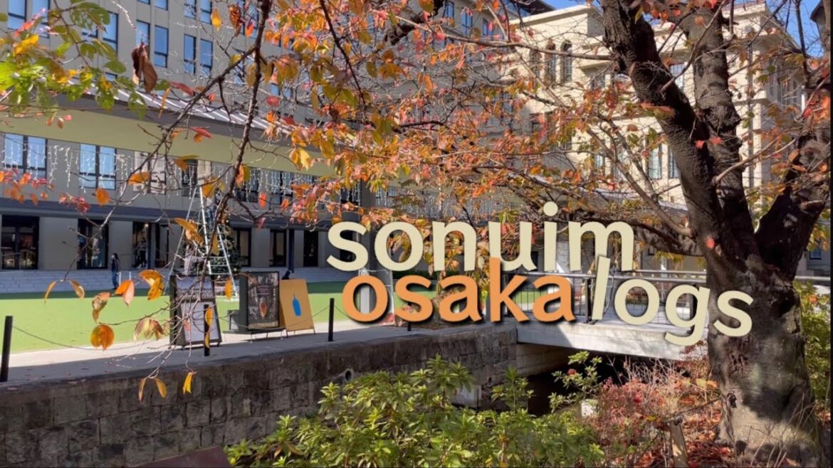 손누임 브이로그 | 오사카여행 day3 (교토, 블루보틀, 안도 타다오 빛의 교회, 야키토리)