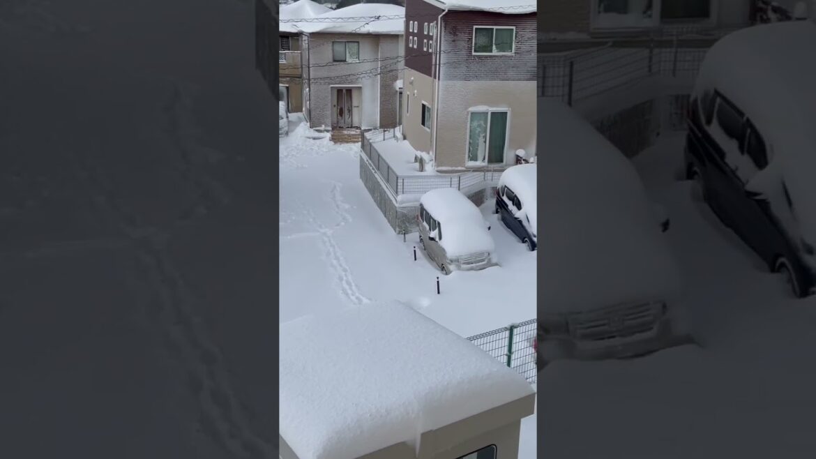 SNOW STORM IN MATSUE SHI,SHIMANE KEN JAPAN#fyp #japan #travel