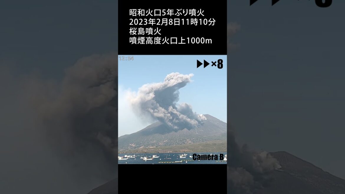 【昭和火口で5年ぶり噴火】2023年2月8日 11:10 桜島 噴火 1000m / Sakurajima Eruption　#shorts
