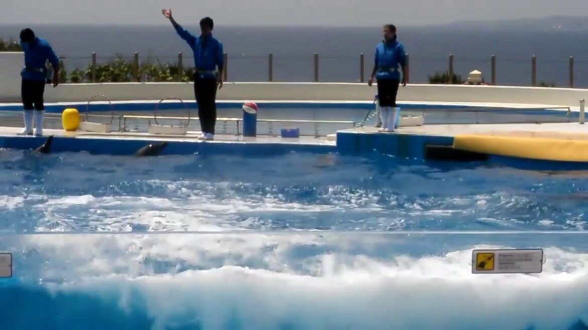 2011 04: Okinawa, Day2