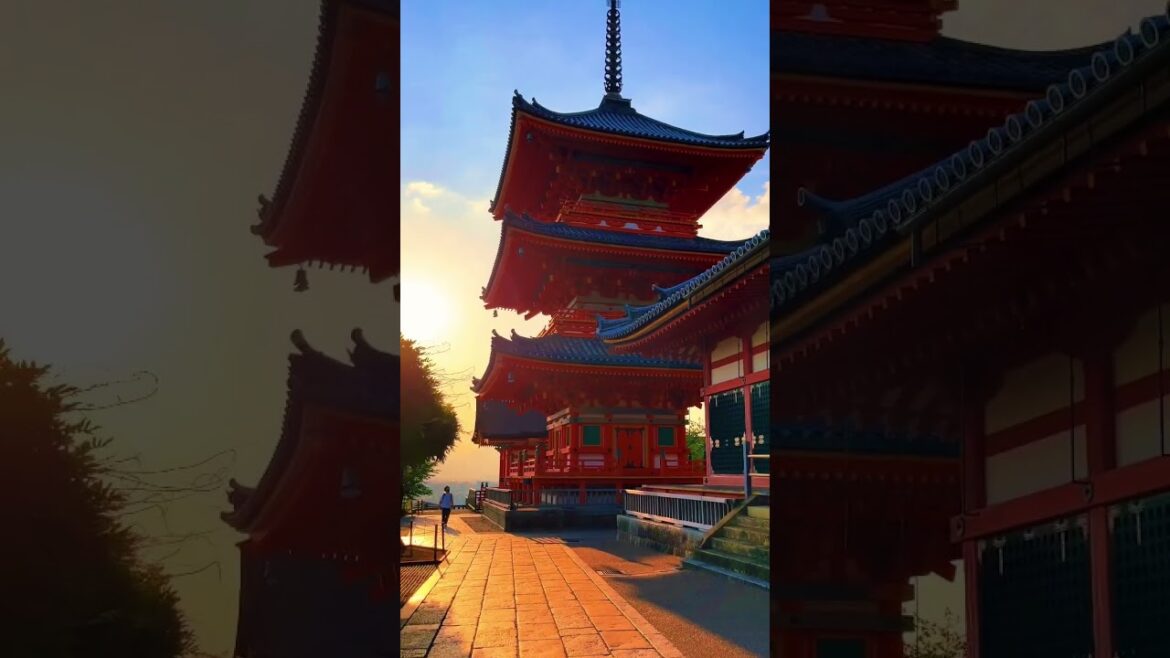 Kyoto / 京都　#japan #japantravel #japantrip #kyoto #kyototravel #kyototrip