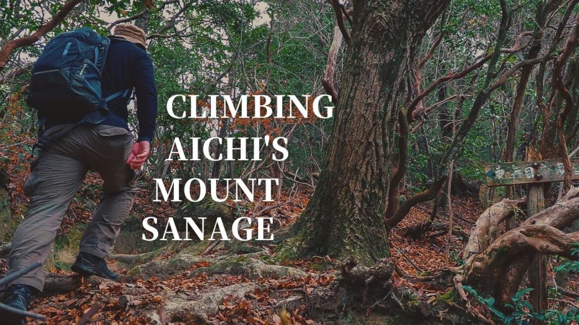 Day 41: Climbing Mount Sanage 猿投山 on the Tokai Nature Trail 東海自然歩道 Tokai Shizen Hodo