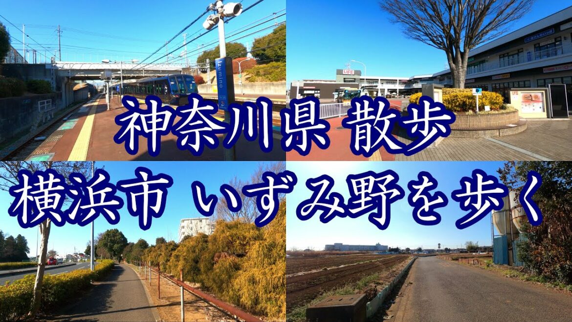 ( 4K ) 神奈川県 散歩 横浜市 いずみ野を歩く ( Walk Yokohama city Izumino )