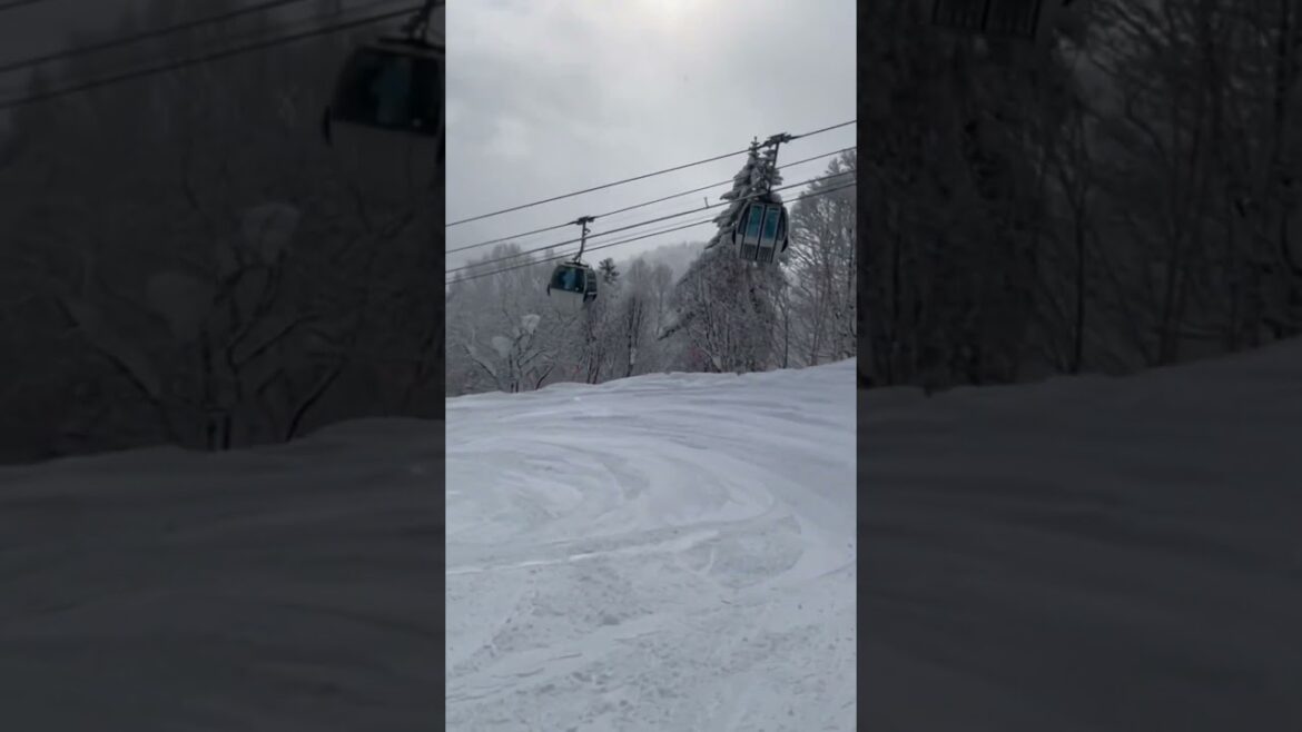 My children age 7 and  9 skiing at Hokkaido Furano Intermediate Course