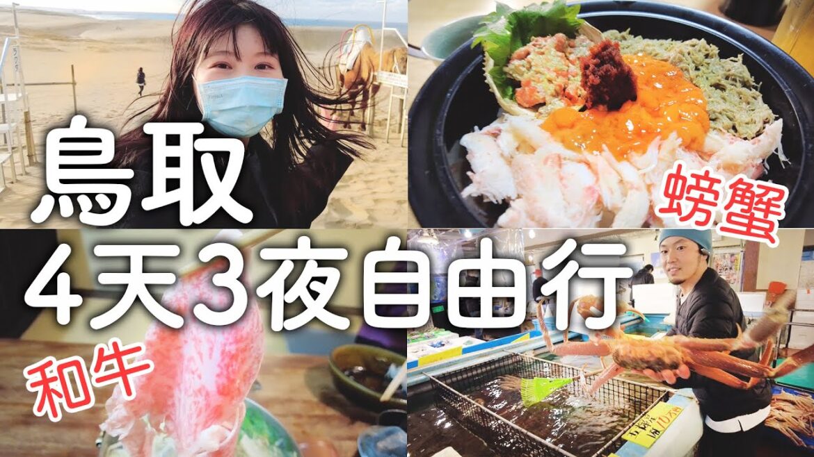 鳥取自由行|4天3夜玩遍當地人私房景點|必推螃蟹丼&和牛涮涮鍋|沙丘咖啡古蹟市場美食一次滿足|日本旅遊vlog。生活日常。自由行景點美食推薦 鳥取自由行|4天3夜玩遍當地人私房景點|必推螃蟹丼&和牛涮涮鍋|沙丘咖啡古蹟市場美食一次滿足|日本旅遊vlog。生活日常。自由行景點美食推薦