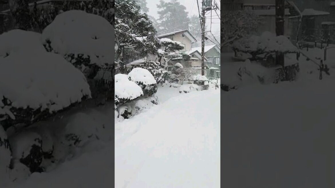 snow village best place to travel #japan onsen #japan #温泉 #日本