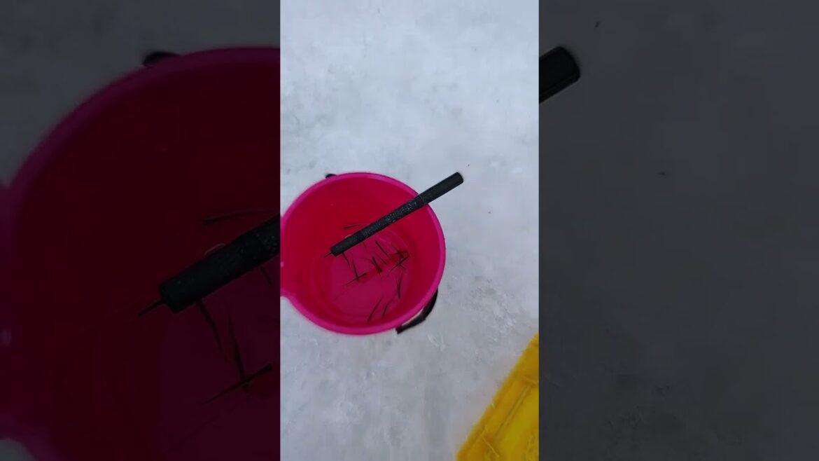 【北海道】オススメ北海道旅行3泊4日 HOKKAIDO LOVE!使用 【北海道】オススメ北海道旅行3泊4日 HOKKAIDO LOVE!使用