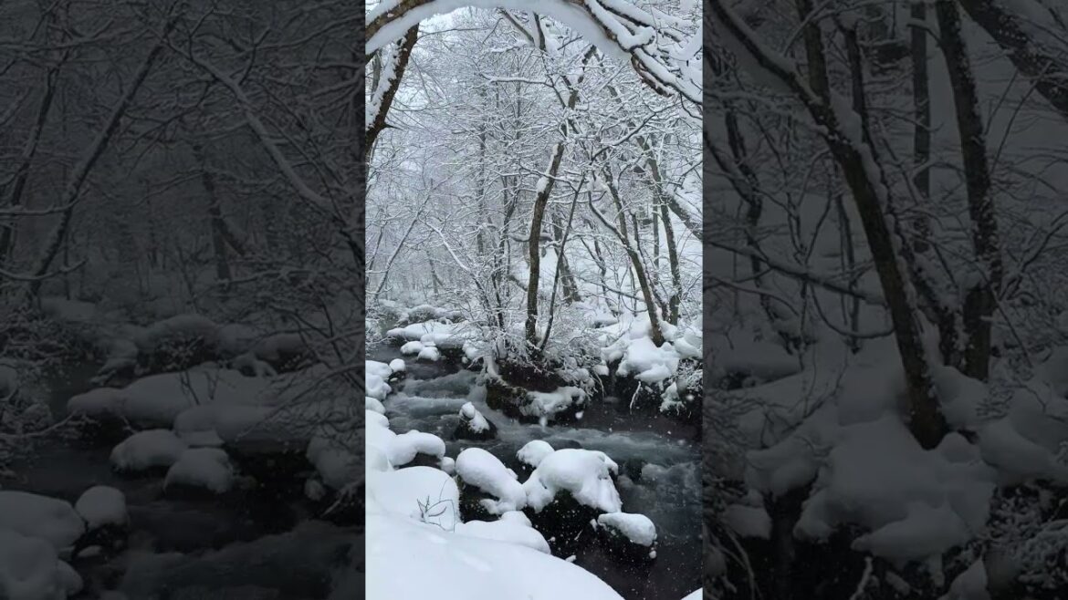 【公式】奥入瀬渓流ホテル|冬の幻想的な雪景色❅ 【公式】奥入瀬渓流ホテル|冬の幻想的な雪景色❅