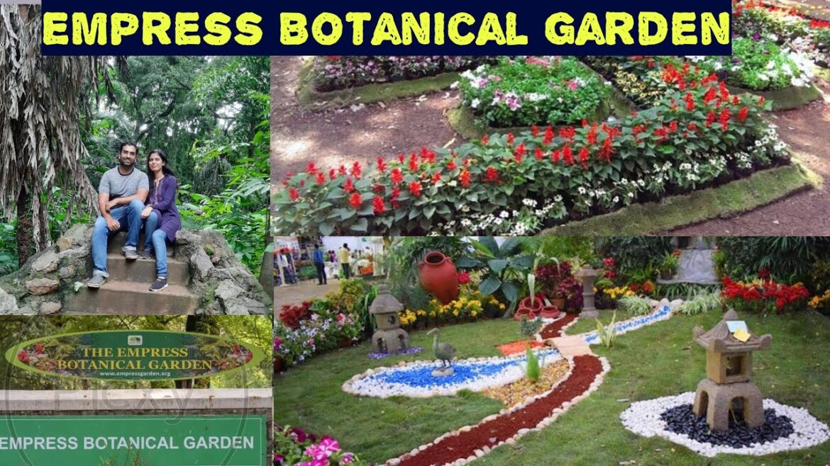 Empress Botanical Garden Pune | Empress Botanical Garden | Botanical Garden in Pune | VlogGoals Empress Botanical Garden Pune | Empress Botanical Garden | Botanical Garden in Pune | VlogGoals