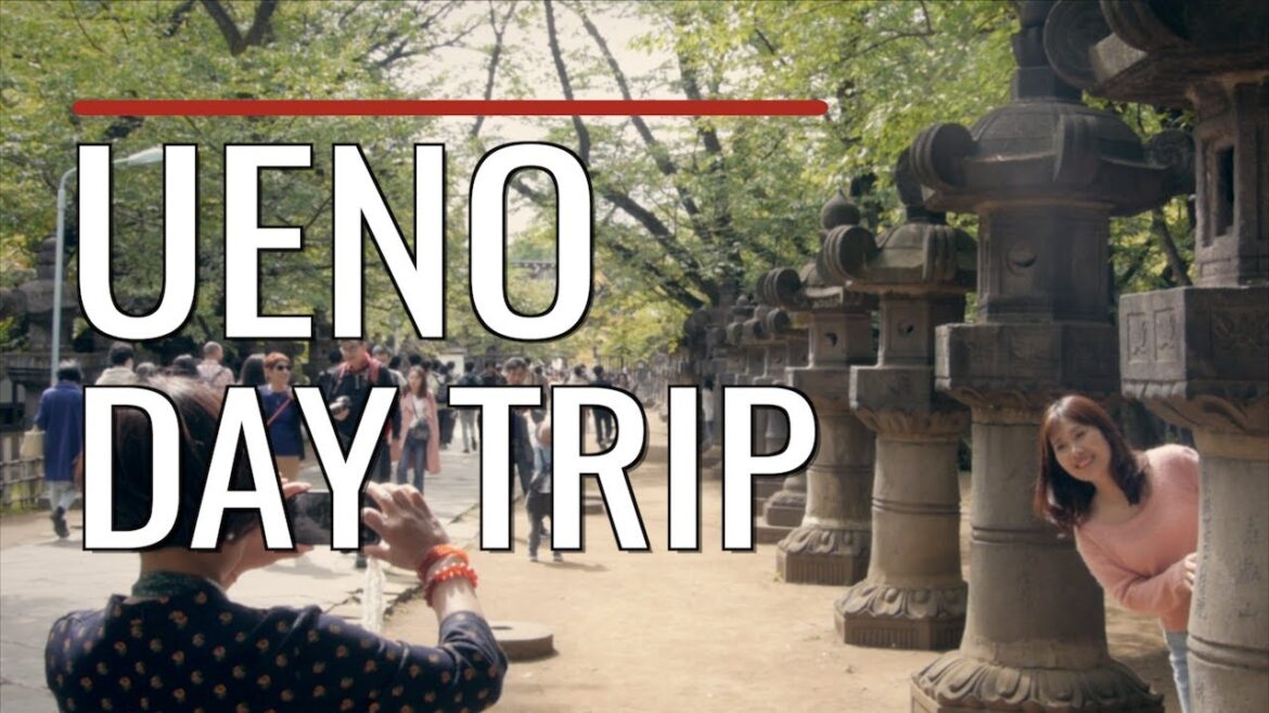 Ueno Park and beyond: a walking tour Ueno Park and beyond: a walking tour