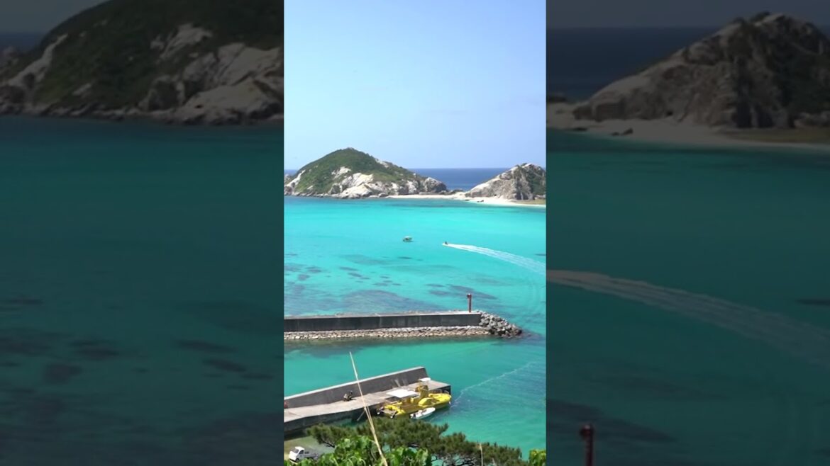 那覇から40分で行ける楽園 #渡嘉敷島 #沖縄 #Shorts