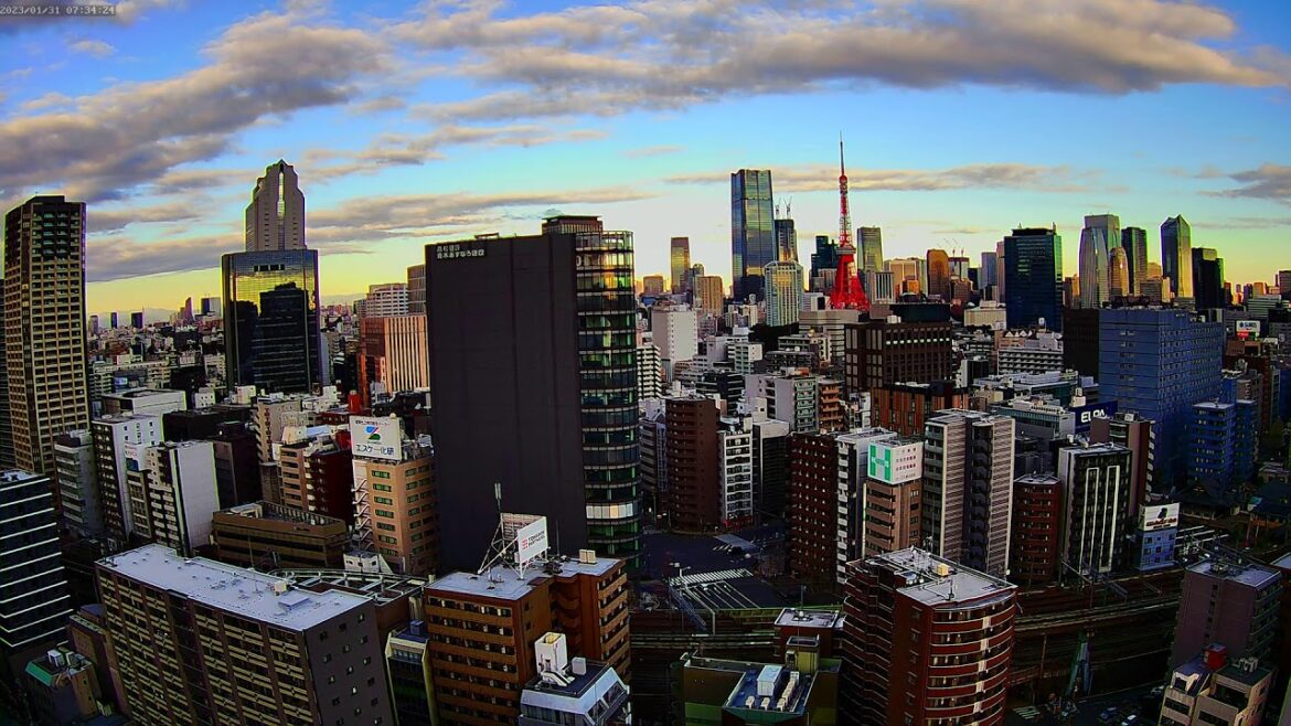 【東京タワー&鉄道ライブカメラ】東京 夜景 港区 六本木 Tokyo Tower & Railway Livecam | Live Camera | Japan |H.View Camera 【東京タワー&鉄道ライブカメラ】東京 夜景 港区 六本木 Tokyo Tower & Railway Livecam | Live Camera | Japan |H.View Camera