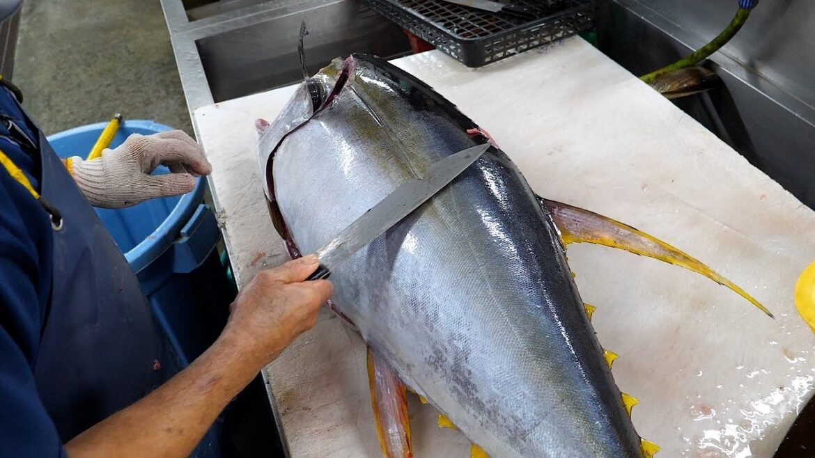 매일 아침 활기가 넘치는 참치 경매장 , 손쉬운 참치 해체, 초밥 3팩 만원부터 초 저렴한 생 참치회까지 - 오키나와 수산시장