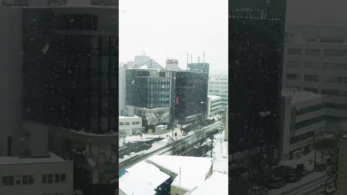 Sapporo Snow Day - February 4th 2023 - #Shorts!