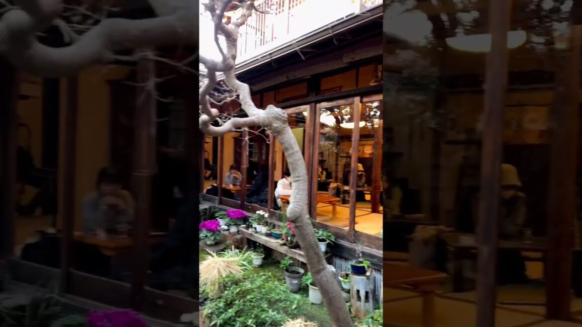 Tea House - Tokyo (Japan)