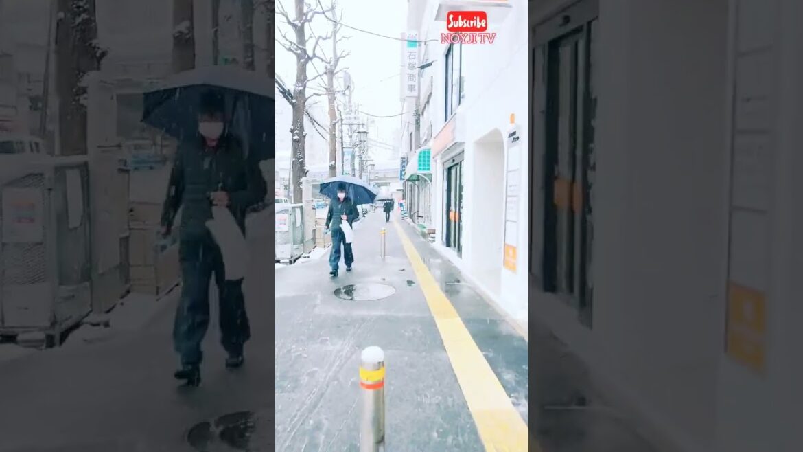 TOKYO SNOWFALL 2023 | SHORTS @NOYJITV TOKYO SNOWFALL 2023 | SHORTS @NOYJITV