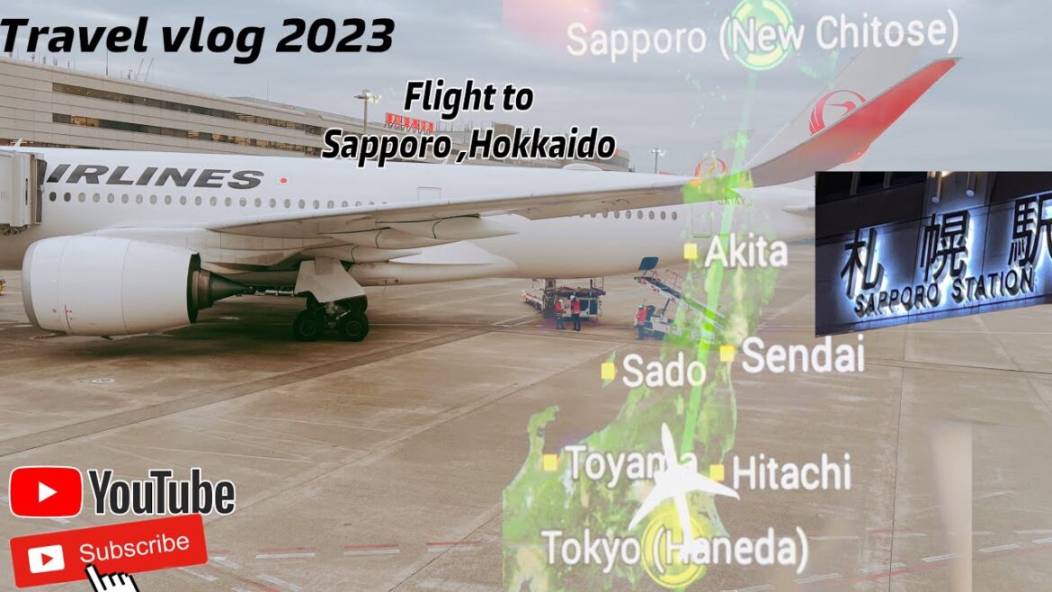 Day1 Journey from Haneda Airport to Sapporo, Hokkaido @ mrsKish #flight #travelvlog