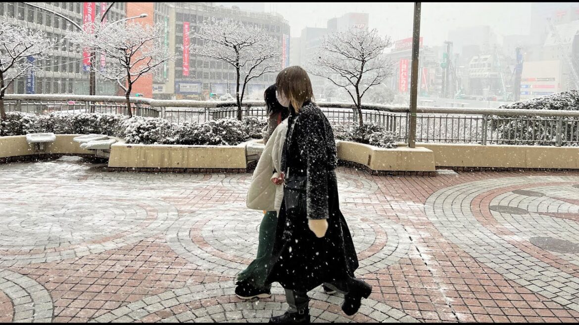 Japanese React to Tokyo's First Heavy Snowfall 2022 Japanese React to Tokyo's First Heavy Snowfall 2022