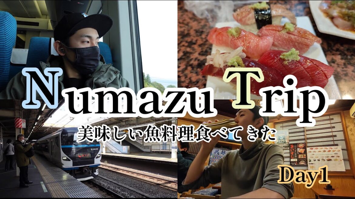 Numazu trip Numazu trip