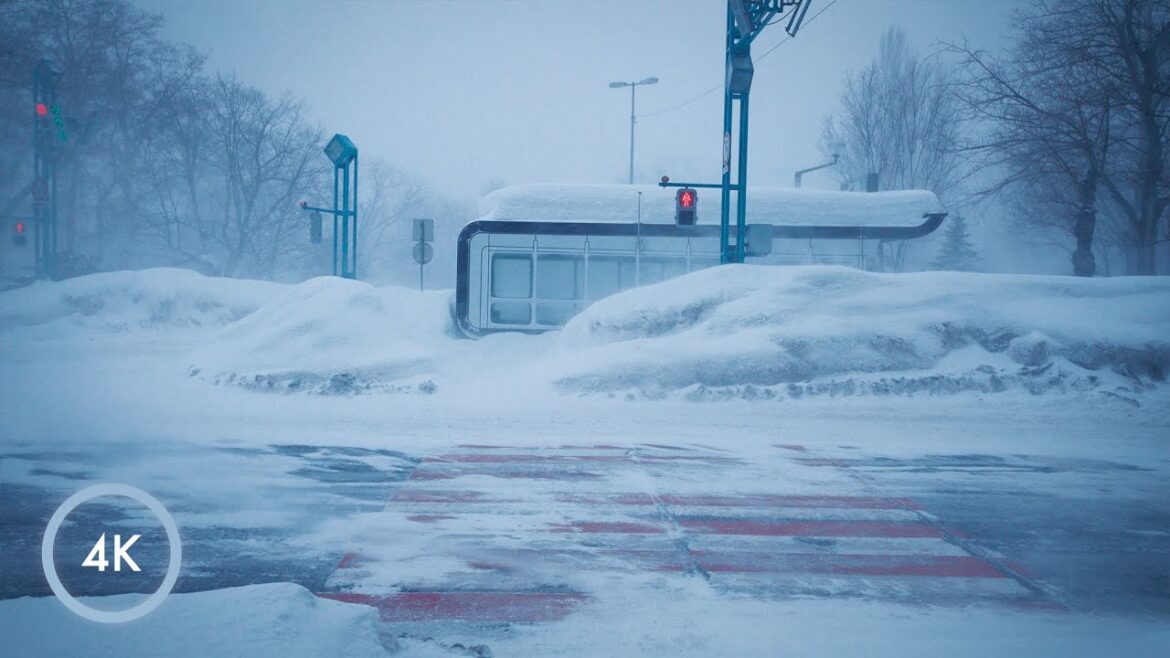 Sapporo Snow Storm | Nakajima Park in the Heavy Snowfall Warning | 4K ASMR