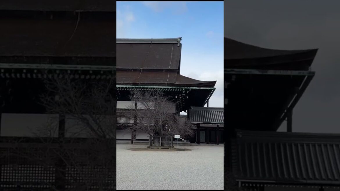 Beautiful places near Kyoto, Japan. Impressions from Japan.