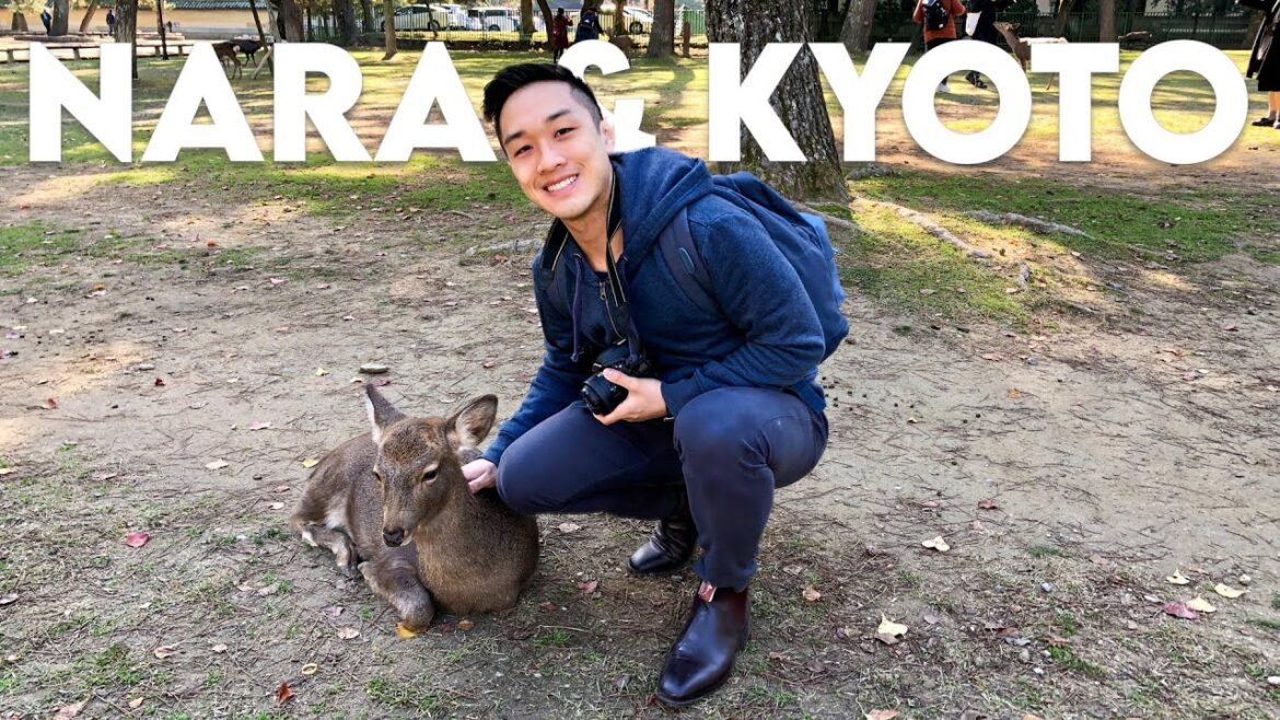 Things we LOVE to do and eat on our first time in NARA + KYOTO | JAPAN Vlog