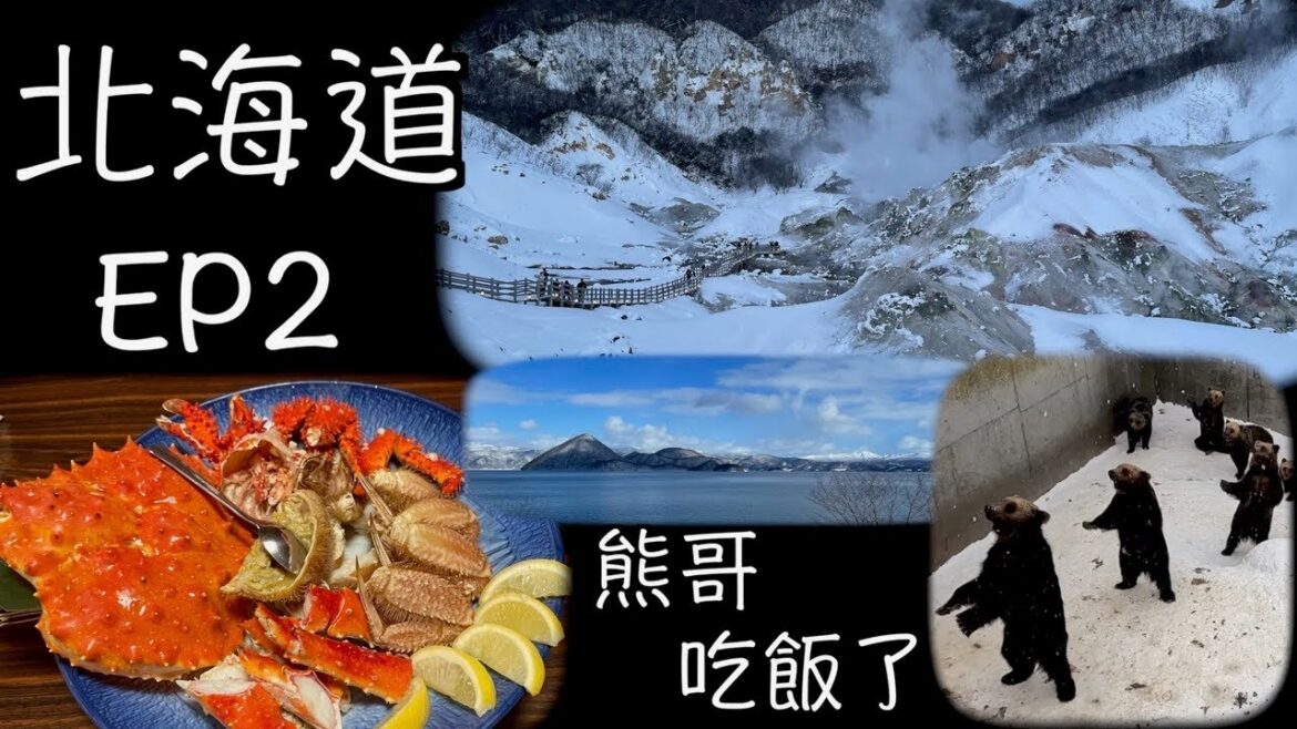北海道自由行 EP2 美味的帝王蟹 登別地獄谷 洞爺湖 熊牧場 羊蹄山 氣球布丁 Hokkaido | Noboribetsu Hell Valley | Lake Toya | King crab