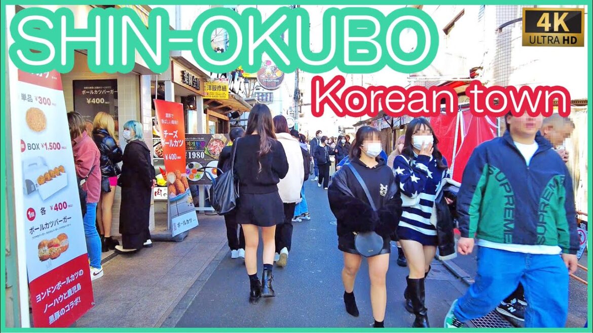 walk in Shin-okubo 4K (Feb.2023) walk in Shin-okubo 4K (Feb.2023)