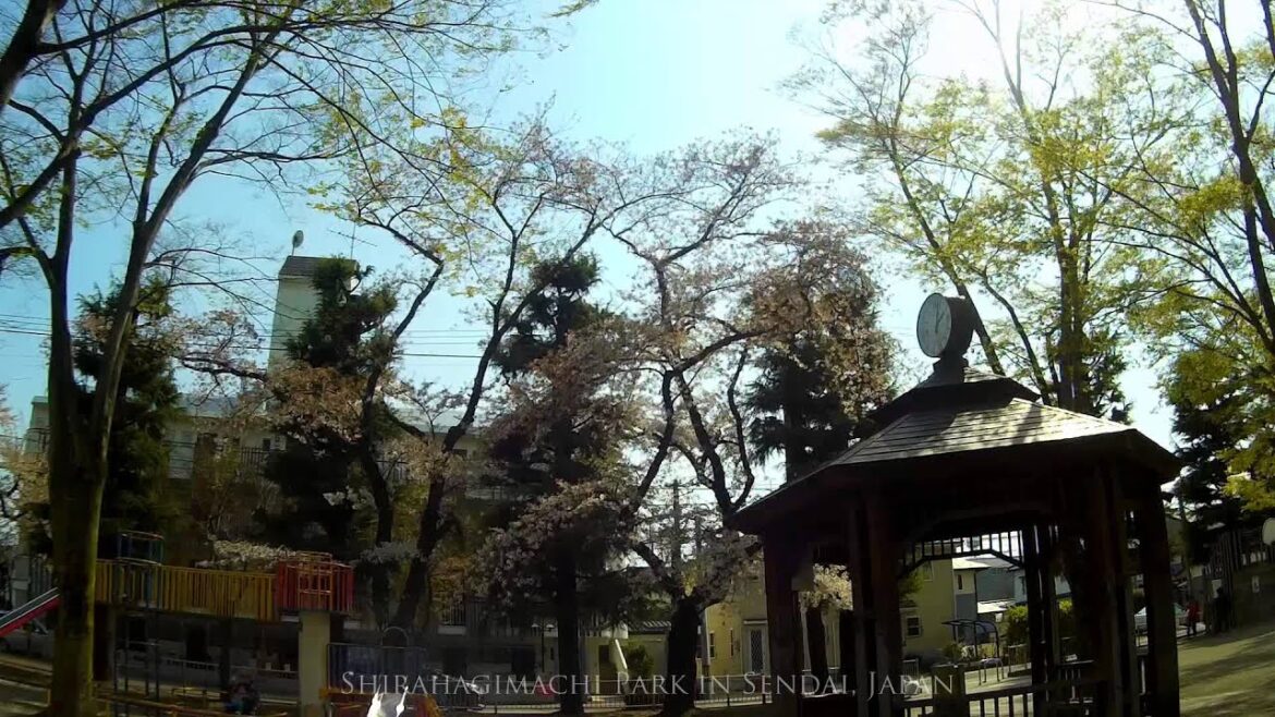 687. Zedd and Clarity (cover) at Shirahagimachi Park in Sendai, Japan